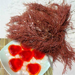 Agar Agar 