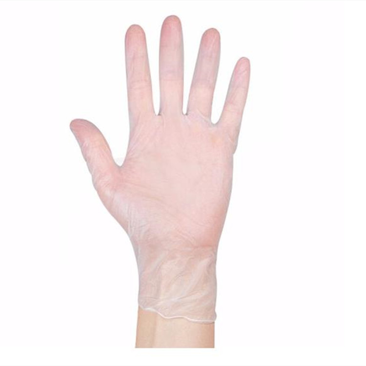 Powder Free Examination Disposable Gloves_PVC_Clear 