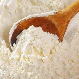 Vital Wheat Gluten
