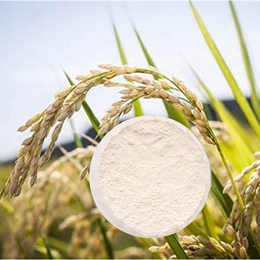 Rice Protein Powder