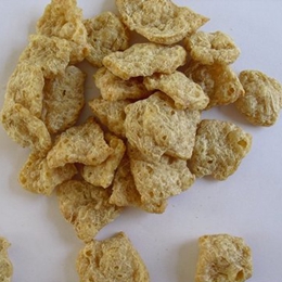 Textured Soy Protein