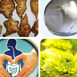 Dietary Fiber Inulin Powder