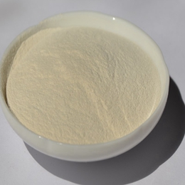 Yeast Beta-Glucan 