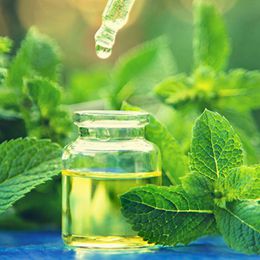 Peppermint Oil