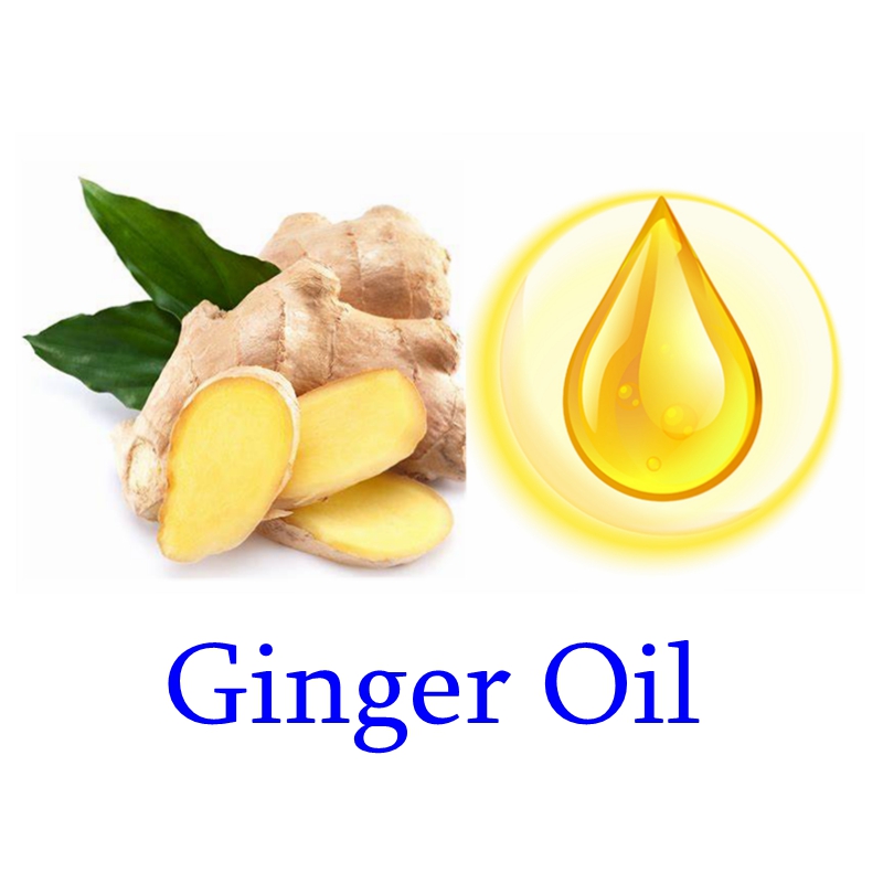 Ginger Oil