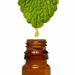 Patchouli oil