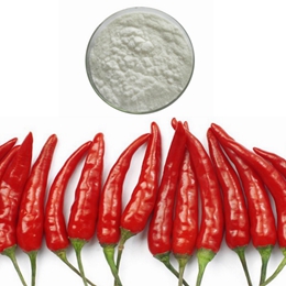 Capsaicin CAS 2444-46-4