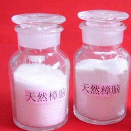 Natural Camphor
