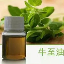 Origanum Oil