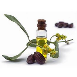 Jojoba oil, Oil of Jojoba
