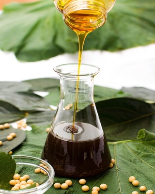 Soya Lecithin