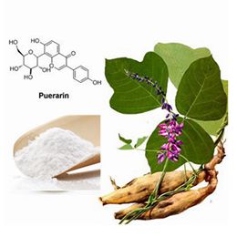 Puerarin / Kudzu Root Extract 