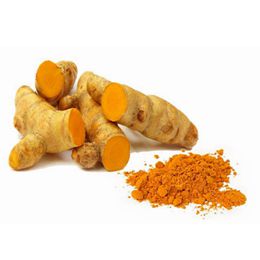 Curcumin / Turmeric Extract
