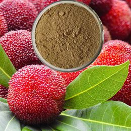 Myricetin / Bayberry Bark Extract