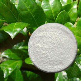 Dihydromyricetin / Vine Tea Extract