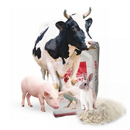 L-Tryptophan Feed Grade